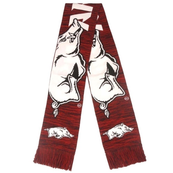 FOCO Arkansas Razorbacks NCAA Wordmark Big Logo Colorblend Scarf OS - Picture 1 of 8